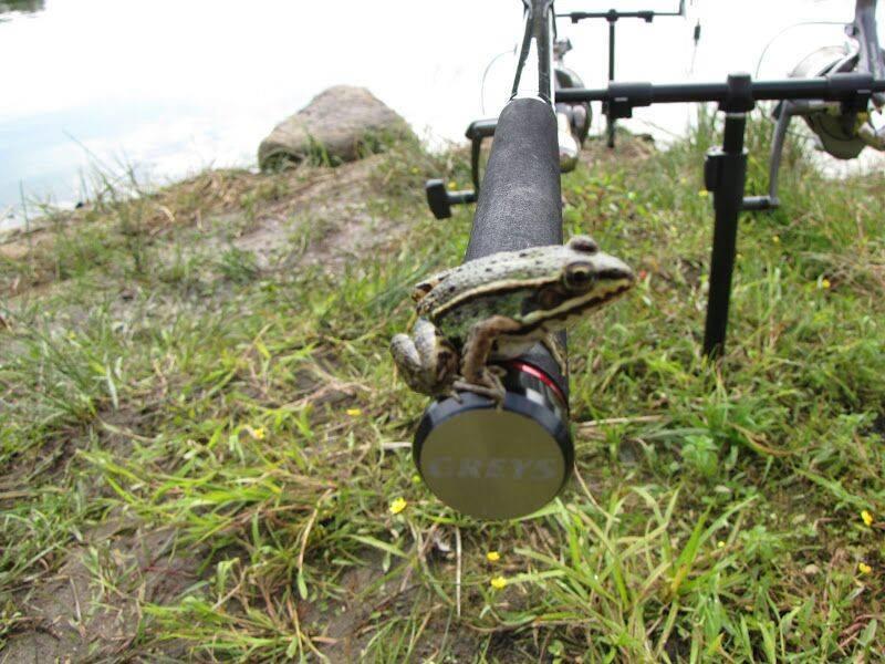 pescuitul+natura - 553970492209317528726576672648n.jpg